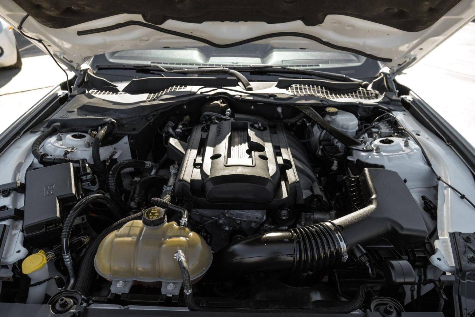 2018 WHITE Ford Mustang EcoBoost Premium Convertible (1FATP8UHXJ5) with an 2.3L L4 DOHC 16V engine, located at 2401 E Main St., Grand Prairie, TX, 75050, (972) 262-4440, 32.748981, -96.969643 - Photo#58