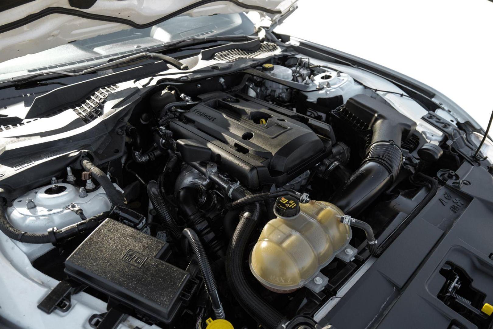 2018 WHITE Ford Mustang EcoBoost Premium Convertible (1FATP8UHXJ5) with an 2.3L L4 DOHC 16V engine, located at 2401 E Main St., Grand Prairie, TX, 75050, (972) 262-4440, 32.748981, -96.969643 - Photo#59