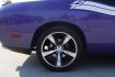 2014 PURPLE Dodge Challenger R/T (2C3CDYBT9EH) with an 5.7L V8 OHV 16V engine, 6-Speed Manual transmission, located at 2401 E Main St., Grand Prairie, TX, 75050, (972) 262-4440, 32.748981, -96.969643 - Photo#11