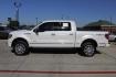 2014 White Ford F-150 Platinum SuperCrew 5.5-ft. Bed 4WD (1FTFW1ET3EF) with an 3.5L V6 TURBO engine, 6-Speed Automatic transmission, located at 2401 E Main St., Grand Prairie, TX, 75050, (972) 262-4440, 32.748981, -96.969643 - Photo#2