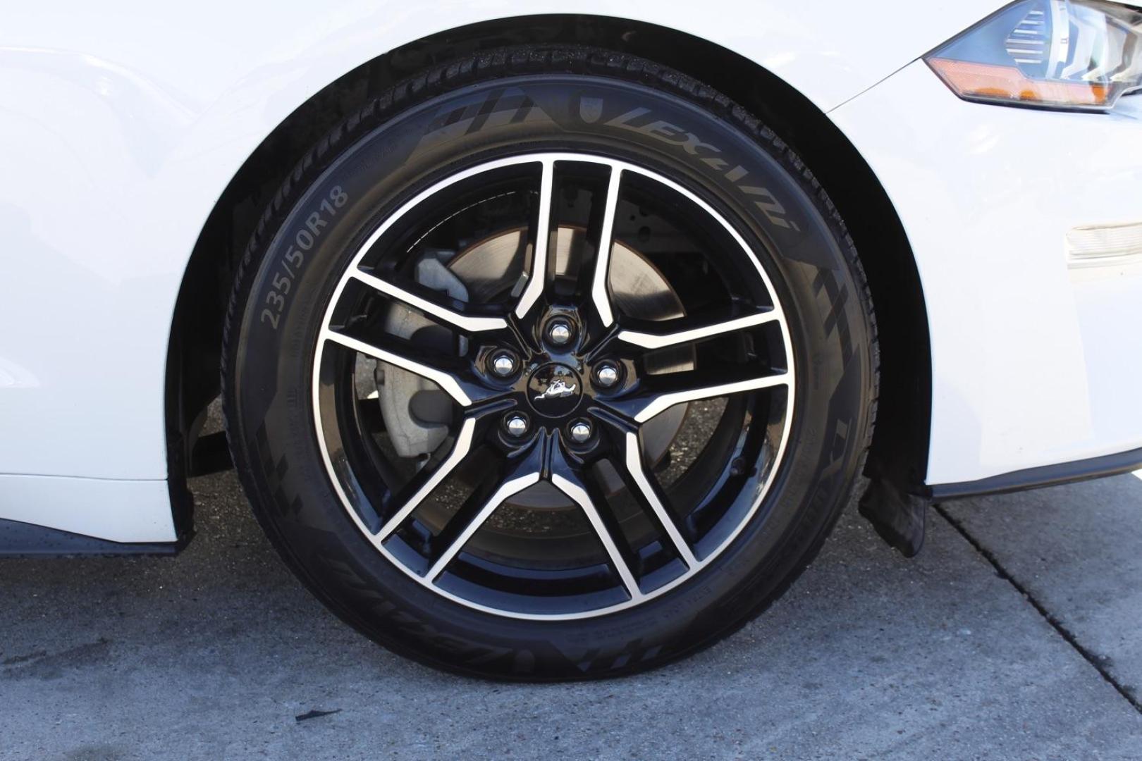 2018 WHITE Ford Mustang EcoBoost Coupe (1FA6P8TH1J5) with an 2.3L L4 DOHC 16V engine, located at 2401 E Main St., Grand Prairie, TX, 75050, (972) 262-4440, 32.748981, -96.969643 - Photo#8